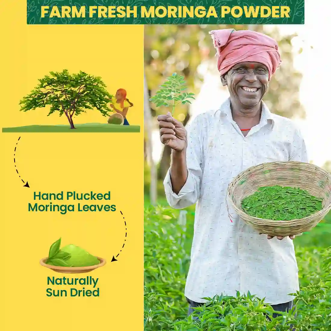 100% Pure & Natural Moringa Powder - Image 5