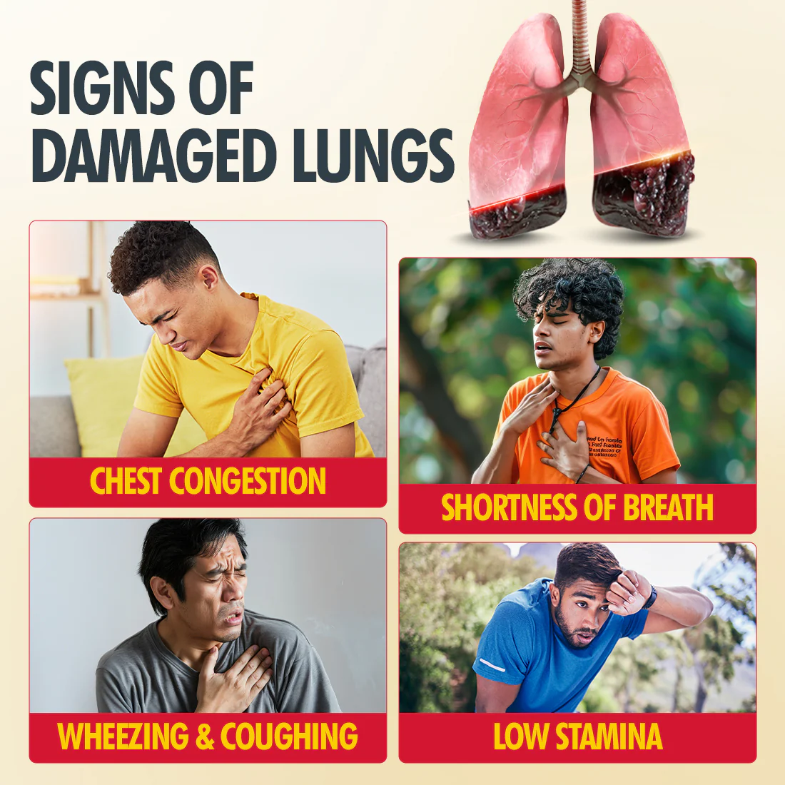 Daily Lung Cleanser with NAC + Vit. C - Image 6